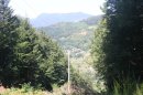 GR532 à Geishouse
